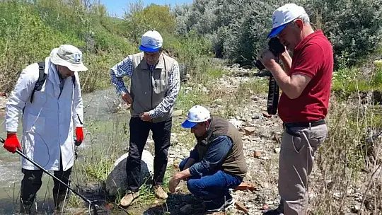 Elazığ'da biyoçeşitlilik izleme çalışmaları sürüyor