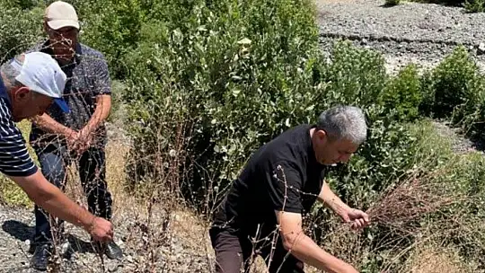 Elazığ'da biyoçeşitlilik izleme çalışmaları sürüyor