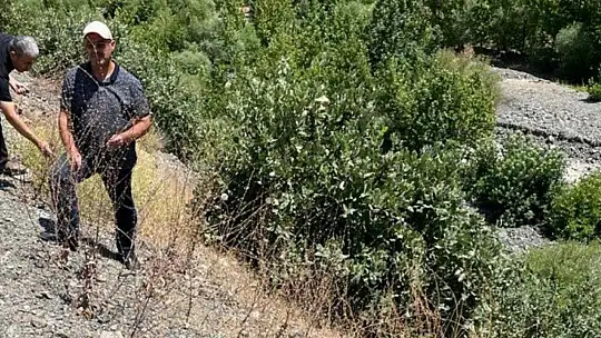 Elazığ'da biyoçeşitlilik izleme çalışmaları sürüyor