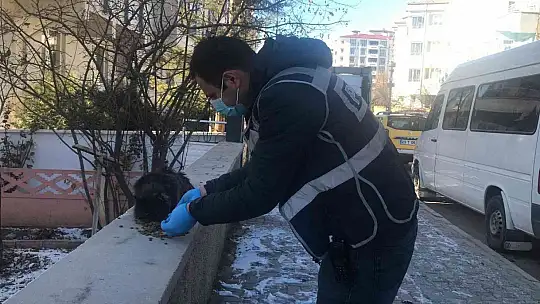 HAYDİ ve itfaiye ekipleri seferber
