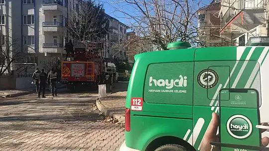 HAYDİ ve itfaiye ekipleri seferber