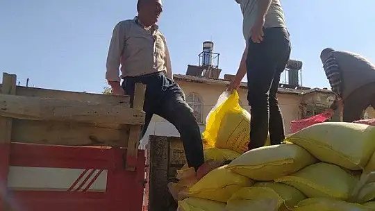 Elazığ'da çiftçilere yüzde 75 hibeli sarımsak tohumu dağıtıldı