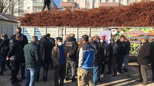 Elazığ'da çiftçiye 68 bin 500 adet badem fidanı dağıtıldı