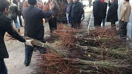 Elazığ'da çiftçiye 68 bin 500 adet badem fidanı dağıtıldı