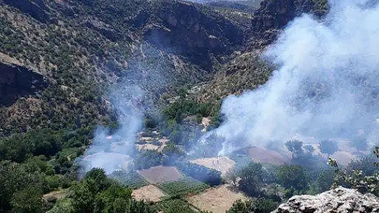 Elazığ'da çıkan orman yangını kısa sürede söndürüldü
