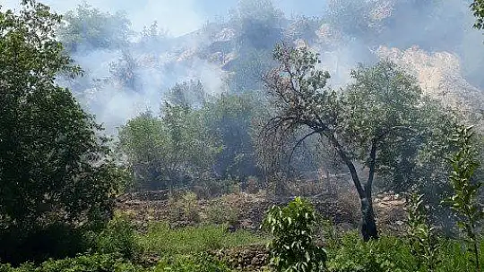 Elazığ'da çıkan orman yangını kısa sürede söndürüldü