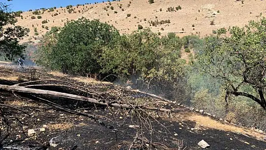 Elazığ'da çıkan yangın korkuttu