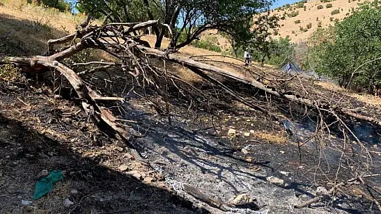 Elazığ'da çıkan yangın korkuttu
