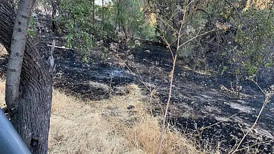 Elazığ'da çıkan yangın korkuttu