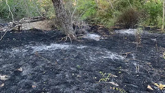Elazığ'da çıkan yangın korkuttu
