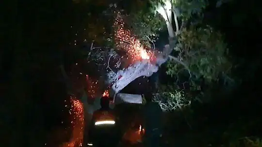 Elazığ'da çıkan yangın korkuttu