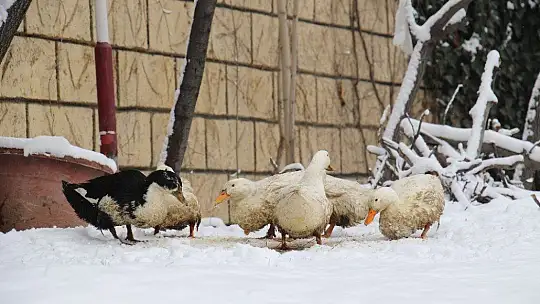 Elazığ'da çocukların kar sevinci
