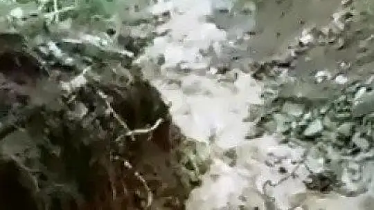 Elazığ'da taşan dere köy yolunu çökertti