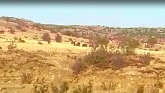 Elazığ'da domuz sürüsünün kaçış anı görüntülendi