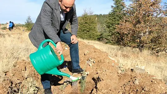 Elazığ'da eğitimciler fidan dikti