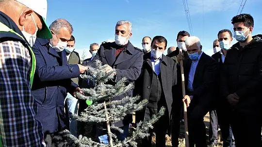 Elazığ'da eğitimciler fidan dikti