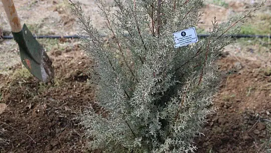 Elazığ'da fidanlar şehit Osman Paşa ve silah arkadaşları için toprakla buluşturuldu