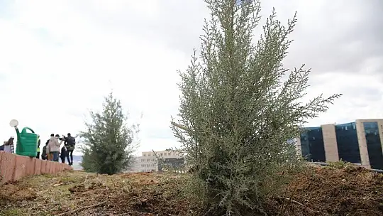 Elazığ'da fidanlar şehit Osman Paşa ve silah arkadaşları için toprakla buluşturuldu
