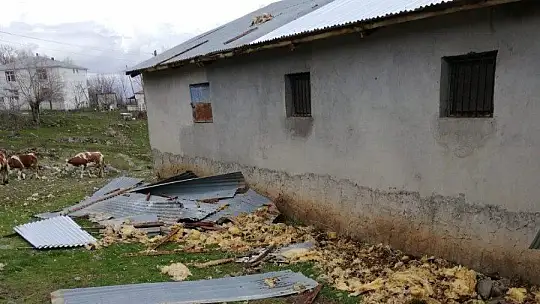 Elazığ'da fırtına direkleri devirdi, çatıları uçurdu 10 kuzu telef oldu