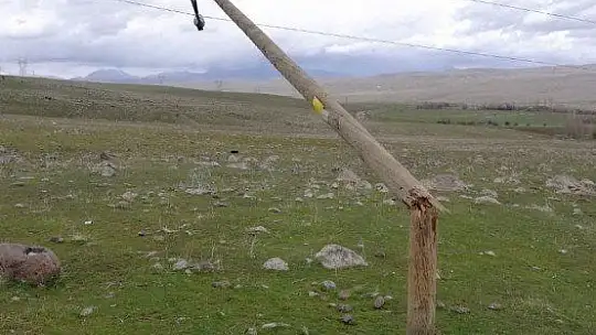 Elazığ'da fırtına direkleri devirdi, çatıları uçurdu 10 kuzu telef oldu