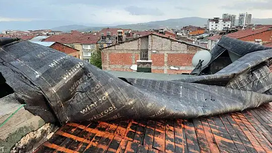 Elazığ'da fırtına sonrası çatılar uçtu, ağaçlar devrildi