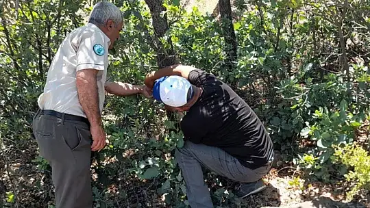 Elazığ'da fotokapanların bakımı yapıldı
