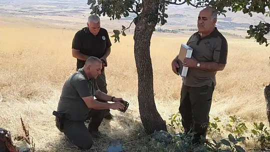 Elazığ'da fotokapanların bakımı yapıldı