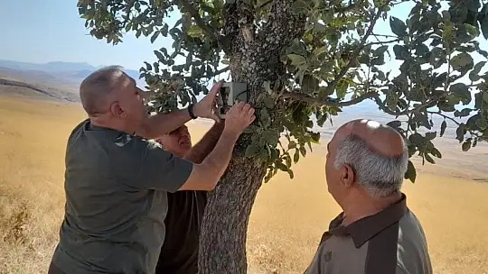 Elazığ'da fotokapanların bakımı yapıldı
