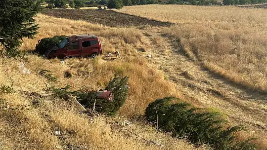 Elazığ'da hafif ticari araç şarampole uçtu: 1 ölü, 4 yaralı