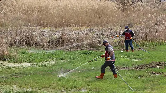 Elazığ'da havaların ısınmasıyla ilaçlama çalışmalarına hız verildi