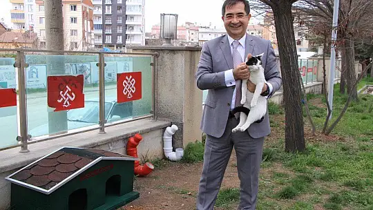Elazığ'da hayvan dostu hastane