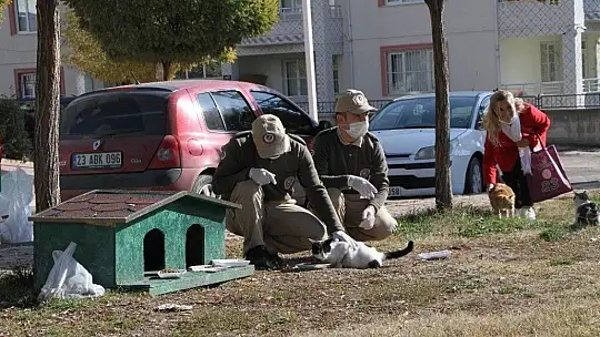 Elazığ'da hayvanları koruma polisi, kısıtlamada sokak hayvanlarını besledi