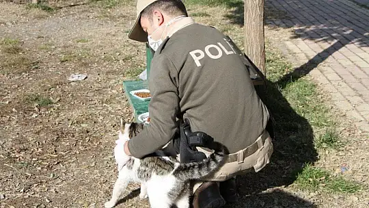 Elazığ'da hayvanları koruma polisi, kısıtlamada sokak hayvanlarını besledi