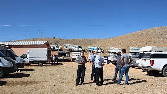 Elazığ'da hibe destekli 500 koç kura ile sahibini buldu