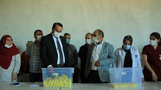 Elazığ'da hibe destekli 500 koç kura ile sahibini buldu