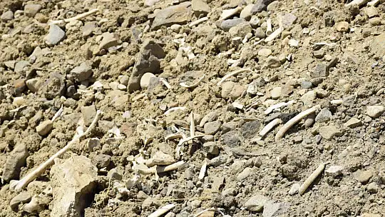 Elazığ'da içme suyu yolu mezarlık içinden geçince, kemikler etrafa saçıldı