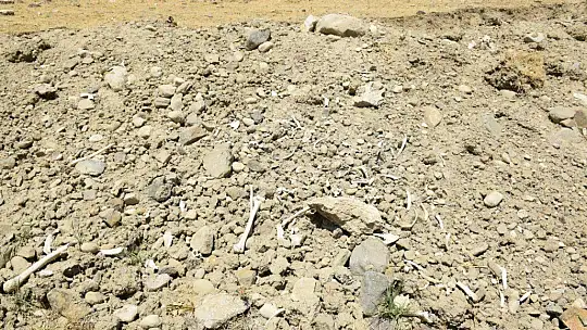 Elazığ'da içme suyu yolu mezarlık içinden geçince, kemikler etrafa saçıldı