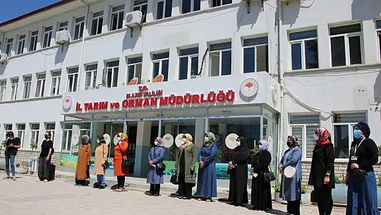 Elazığ'da ipek böcekçiliği yeniden canlanıyor
