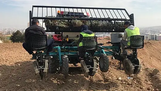 Elazığ'da İpek Yolu Gençlik Merkezi gönüllülerinden lavanta parkı