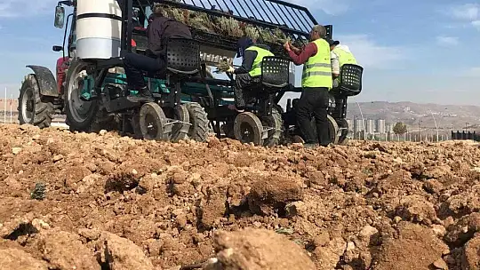 Elazığ'da İpek Yolu Gençlik Merkezi gönüllülerinden lavanta parkı