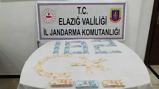 Elazığ'da jandarma ekipleri bir yılda 611 operasyon düzenledi: 670 şüpheli yakalandı