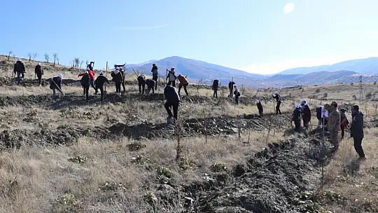Elazığ'da jandarma ekipleri öğrencilerle fidan dikti