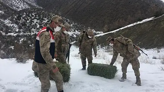 Yaban hayatı için doğaya yem bıraktı