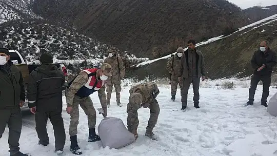 Yaban hayatı için doğaya yem bıraktı