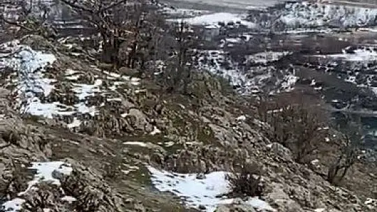 Yaban hayatı için doğaya yem bıraktı