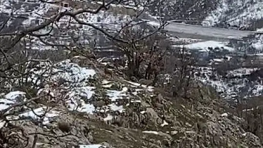 Yaban hayatı için doğaya yem bıraktı