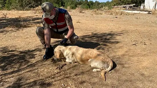 Elazığ'da jandarmadan 4 Ekim Hayvanları Koruma Günü etkinliği