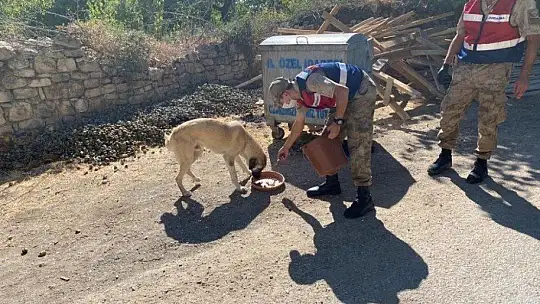 Elazığ'da jandarmadan 4 Ekim Hayvanları Koruma Günü etkinliği