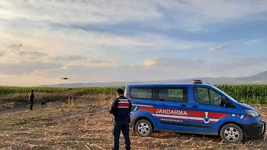 Elazığ'da jandarmadan suların çekildiği alanlarda yasa dışı kenevir ekimine karşı önlem