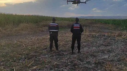 Elazığ'da jandarmadan suların çekildiği alanlarda yasa dışı kenevir ekimine karşı önlem